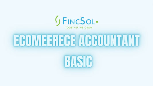 Ecommerce Accountant - Basic Package - Fincsol - Ecommerce Online Amazon Accounting, eBay Accounting, Shopify Accounting, Etsy Accounting 