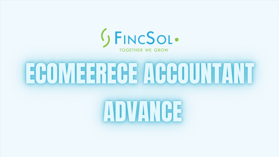 Ecommerce Accountant - Advanced Package - Fincsol - Ecommerce Online Amazon Accounting, eBay Accounting, Shopify Accounting, Etsy Accounting 